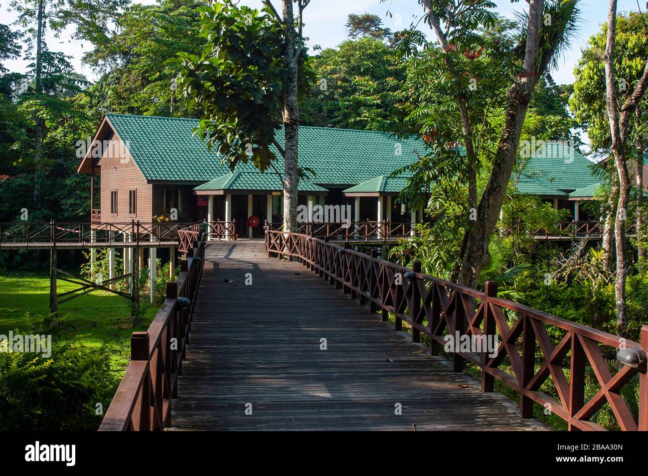 Raised walkway, on stilts, at the Marriott Mulu Hotel, Sarawak