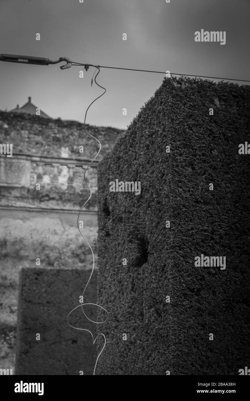 Trimming hedges in French garden (black and white) Stock Photo