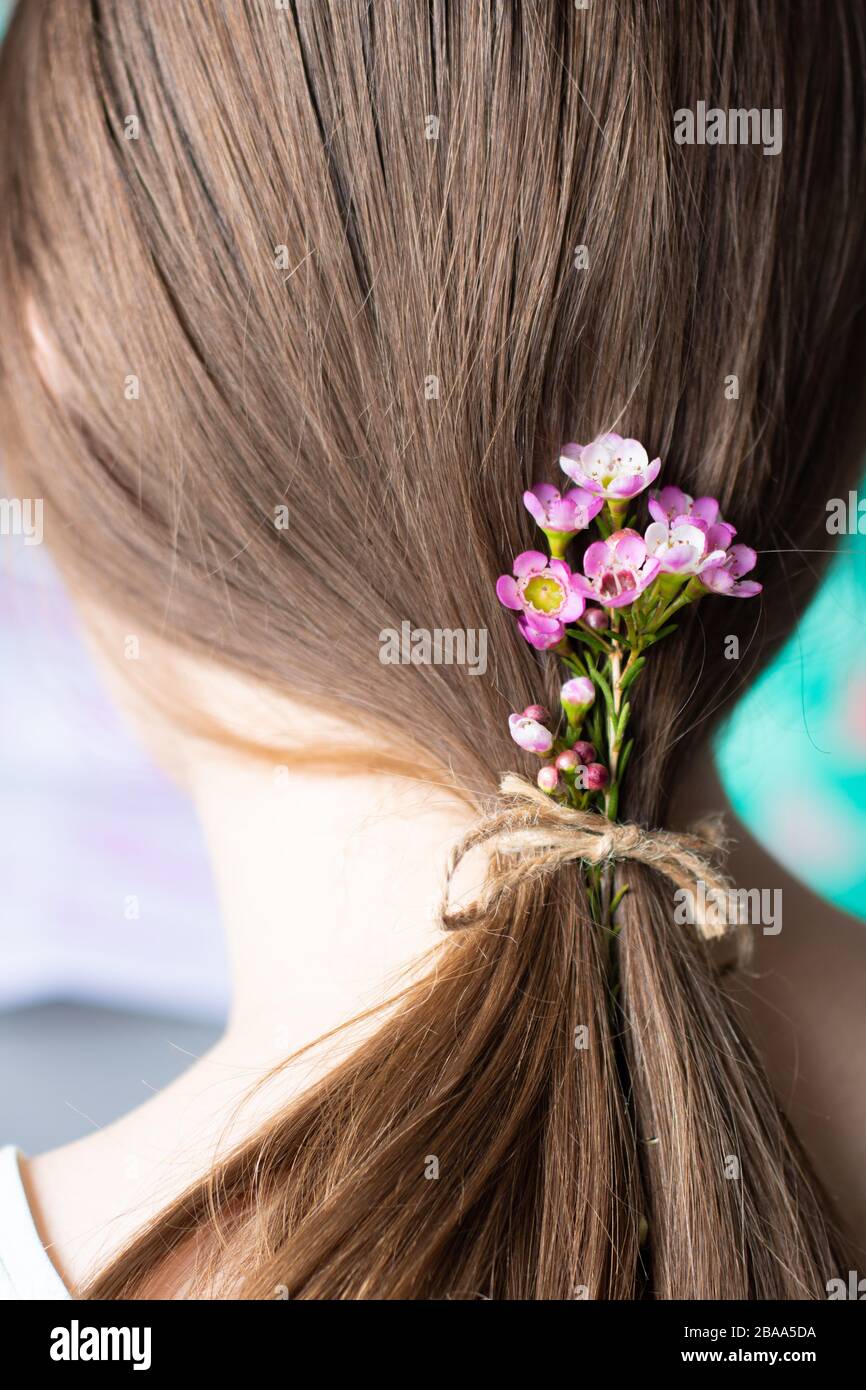 Feminine concept, delicate, beauty, beautiful, wildflowers, flowers in womans hair, girl, long hair pony tail, female concept, nature, natural, brown Stock Photo
