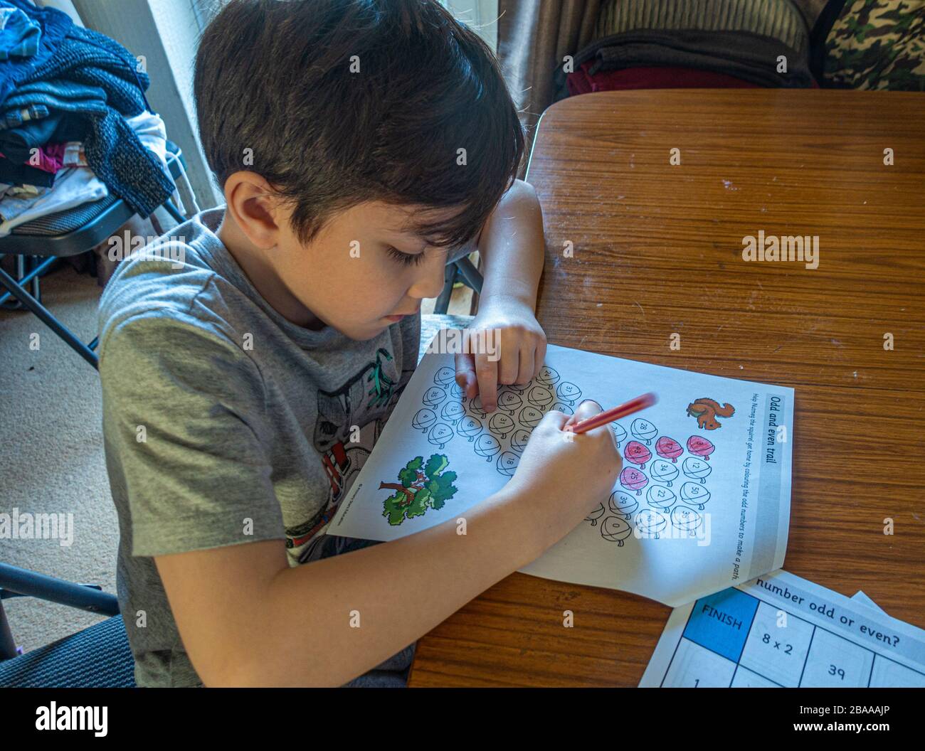 A young boy colouring in odd numbered shapes as part of a home schooling exercise. He is learning from home due to coronavirus. Stock Photo