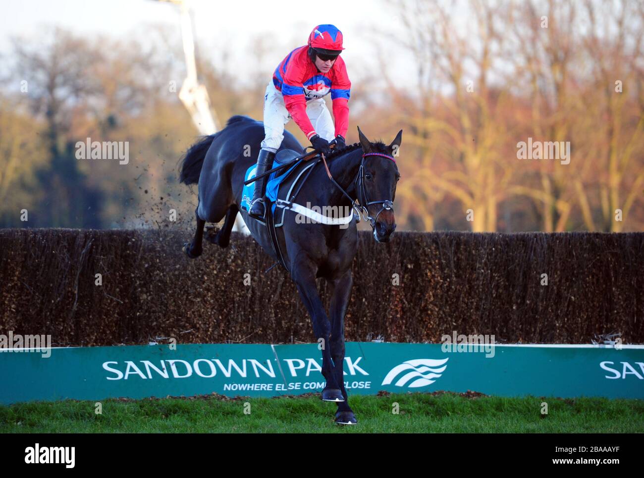 Sprinter Sacre ridden by Barry Geraghty jumps the last to win the Sportingbet Tingle Creek Steeple Chase Stock Photo