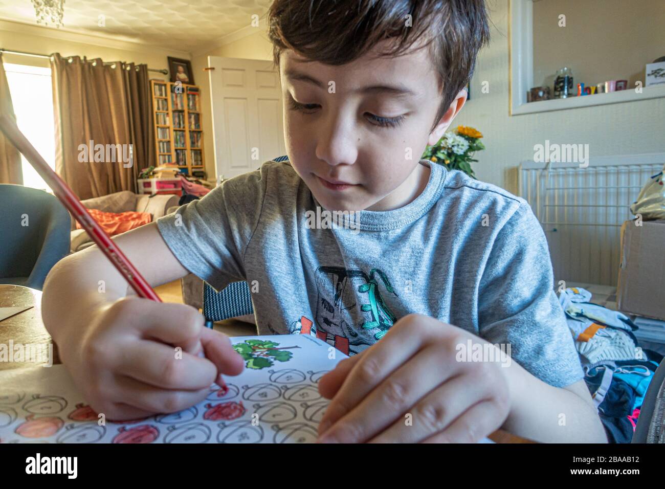 A young boy colouring in odd numbered shapes as part of a home schooling exercise. He is learning from home due to coronavirus. Stock Photo