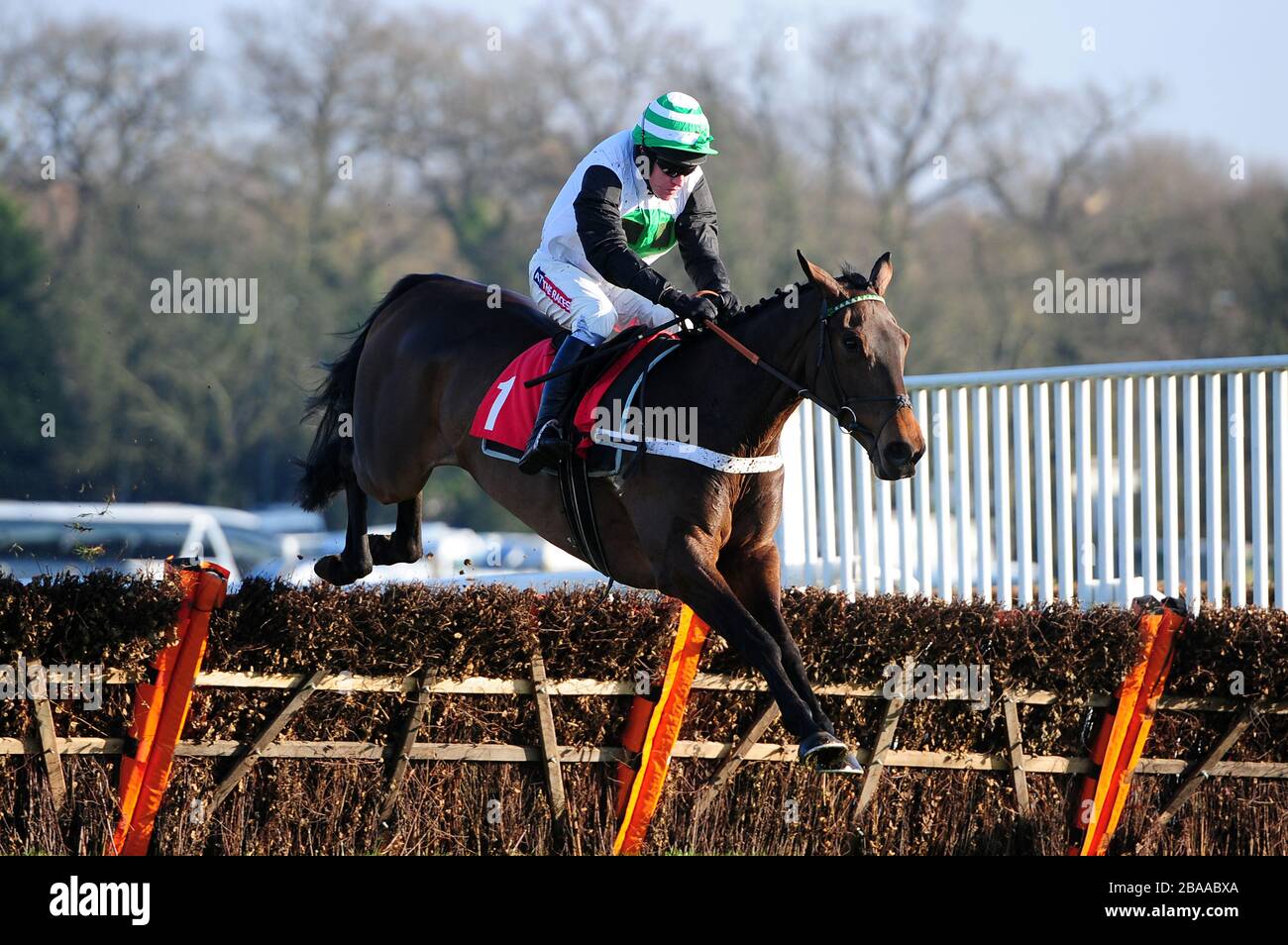 Golden Hoof ridden by jockey Barry Geraghty jumps the last on the way to winning the John Oakley 50th Birthday 'National Hunt' Novices' Hurdle. Stock Photo