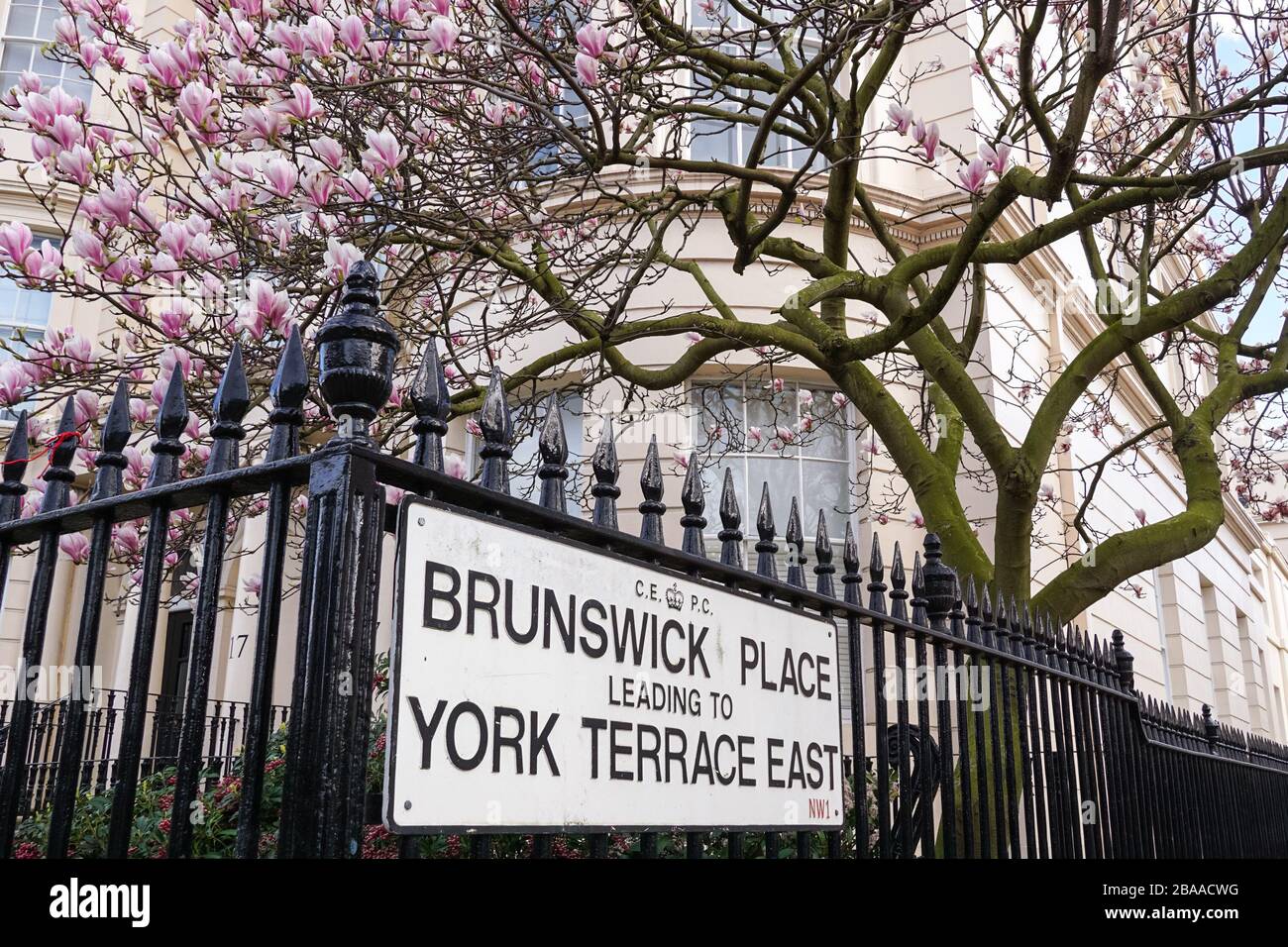 Europe uk england london magnolia hi-res stock photography and