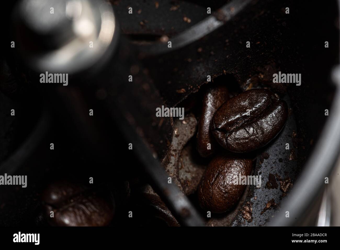 Coffee companies and export coffee beans Stock Photo Alamy