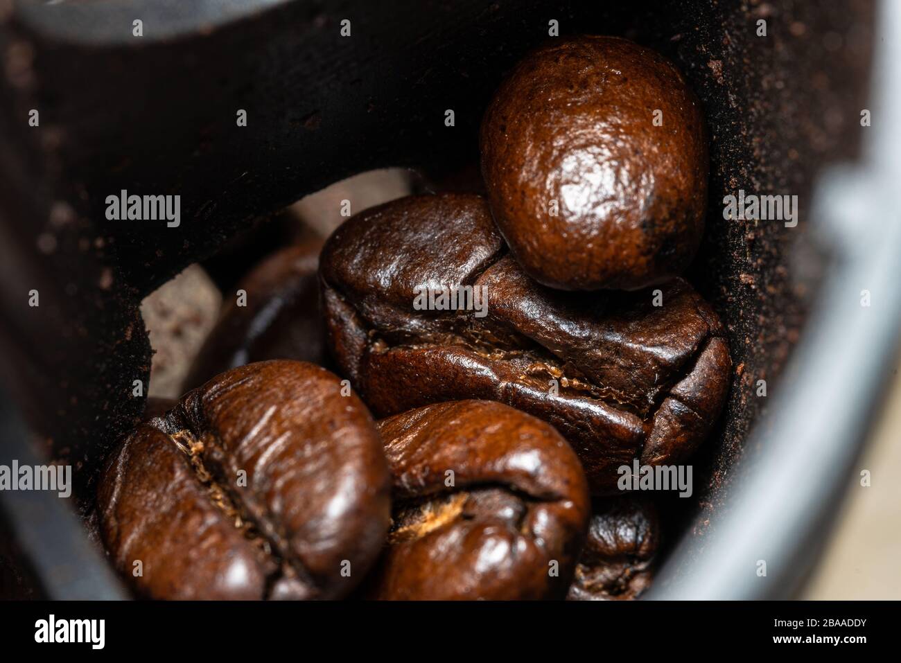 Coffee companies and export coffee beans Stock Photo Alamy