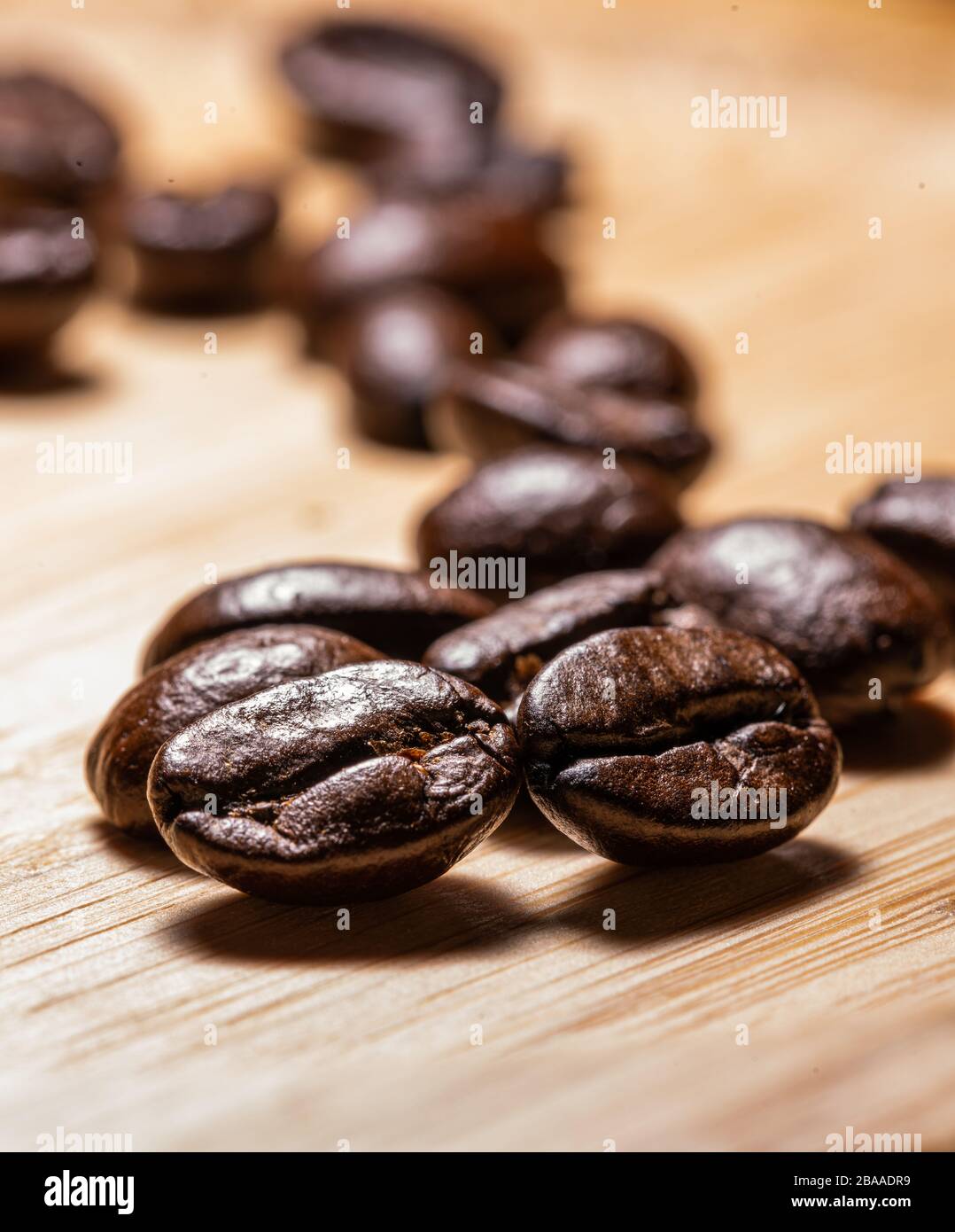 coffee export companies