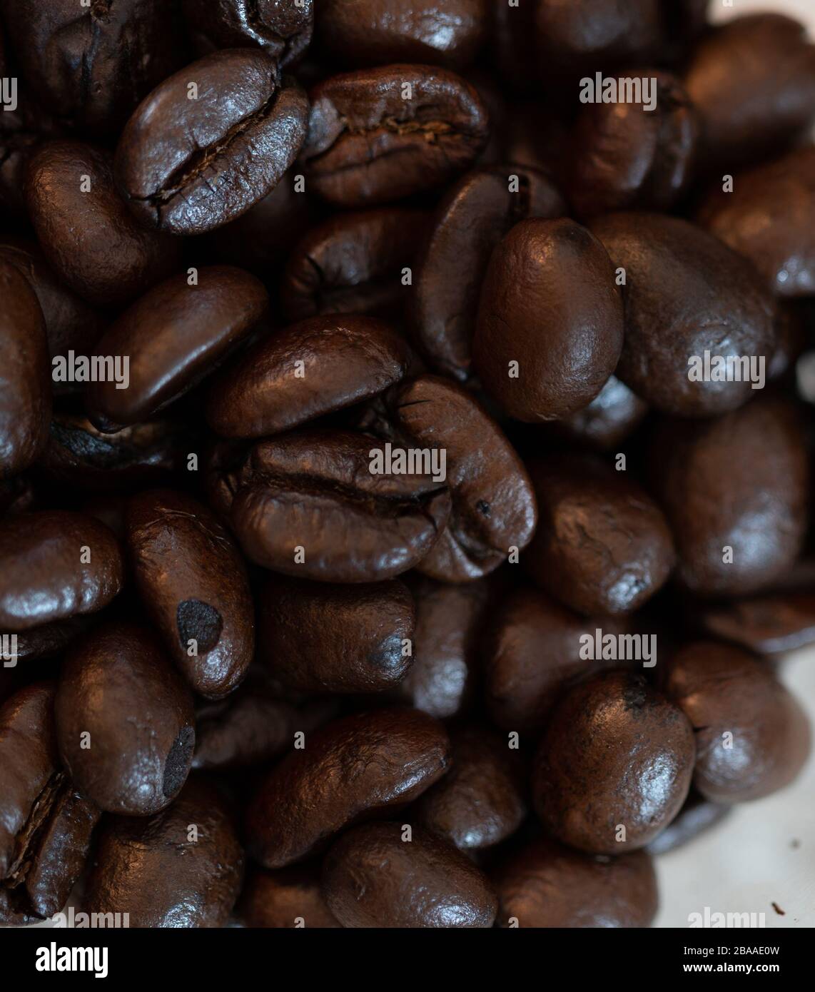 Coffee companies and export coffee beans Stock Photo Alamy