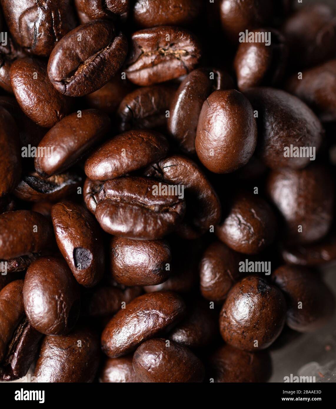 coffee export companies