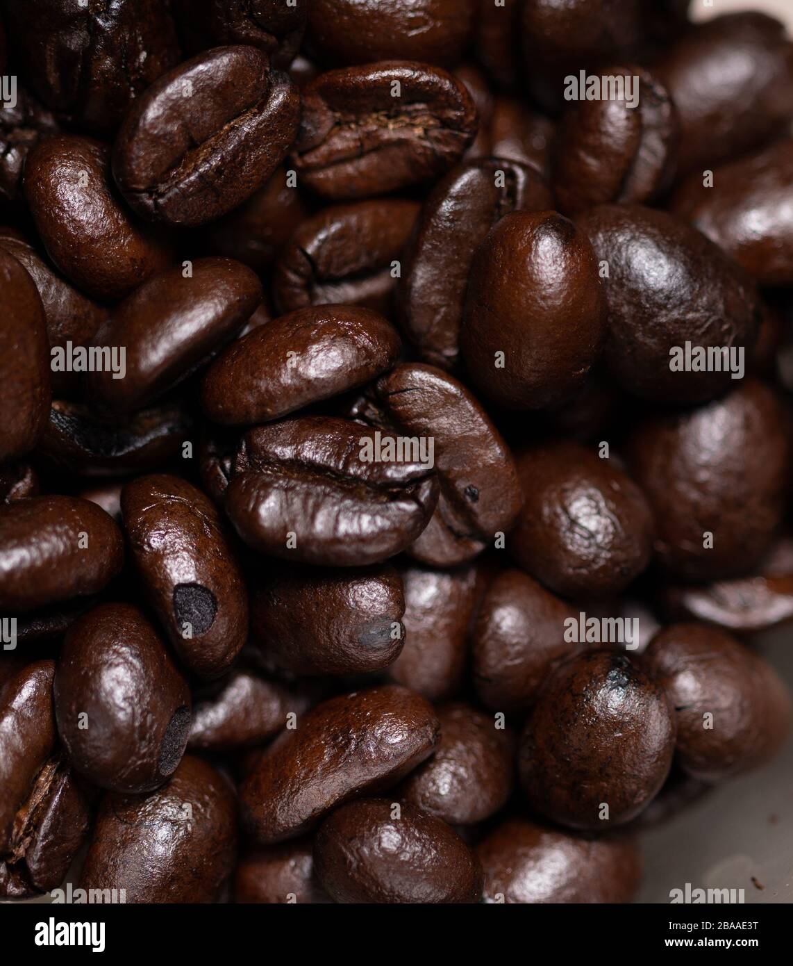 coffee export companies
