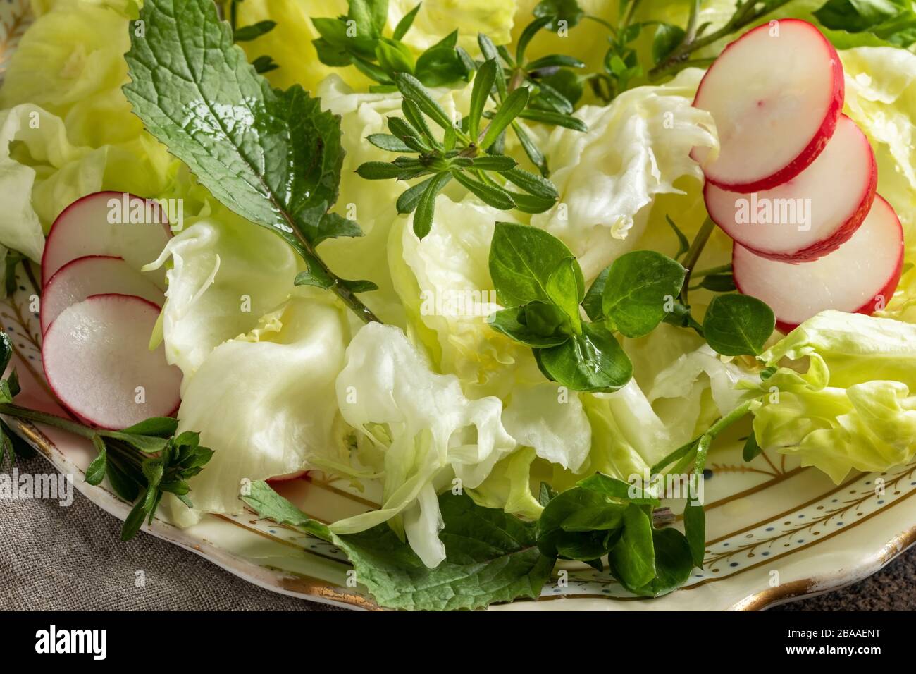 Spring salad with radishes and wild edible plants chickweed, young bedstraw and nipplewort