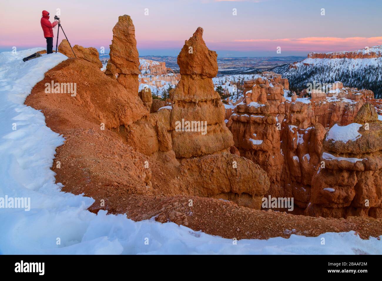 USA, Southwest, Colorado Plateau,Utah,Bryce Canyon, National Park, photographer Stock Photo