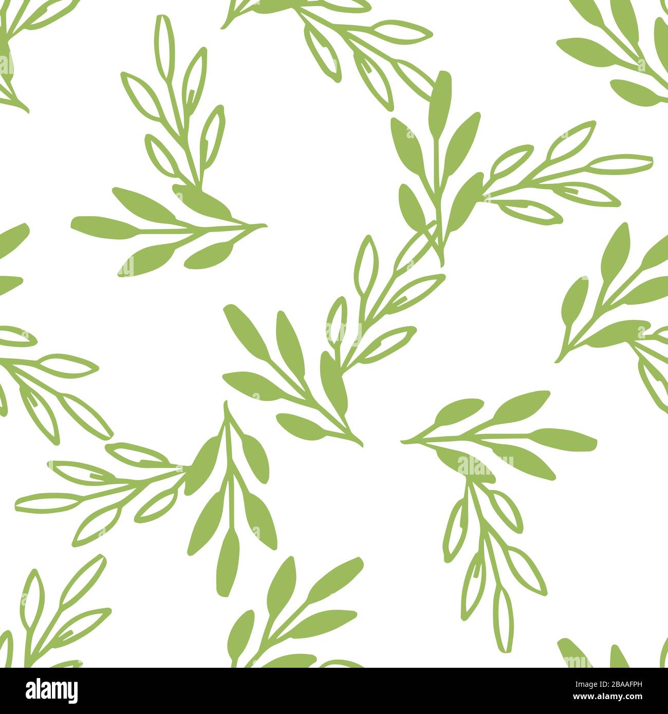 Vector Seamless pattern leaves green white color, Botanical Floral ...