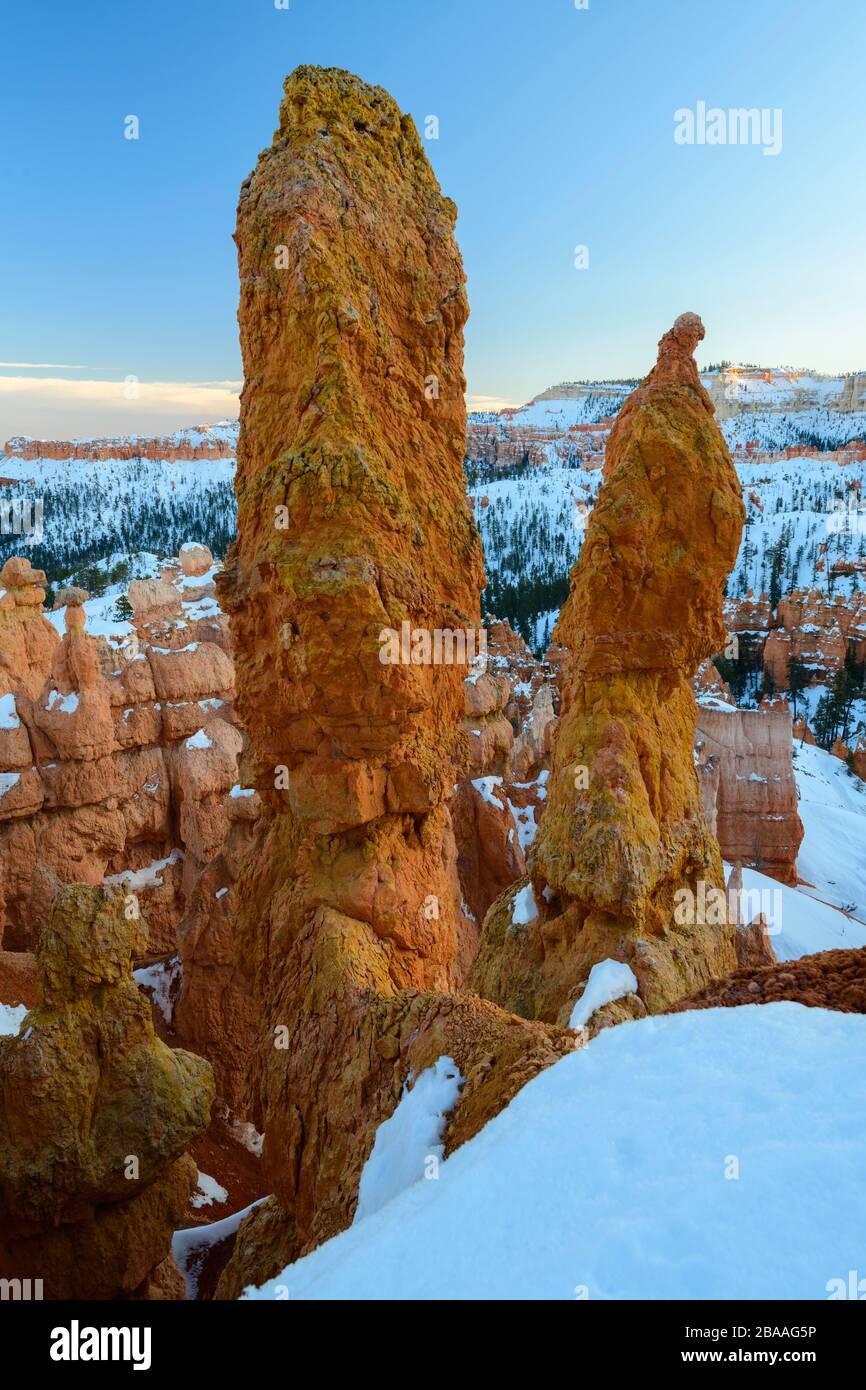 USA, Southwest, Colorado Plateau,Utah,Bryce Canyon, National Park Stock Photo