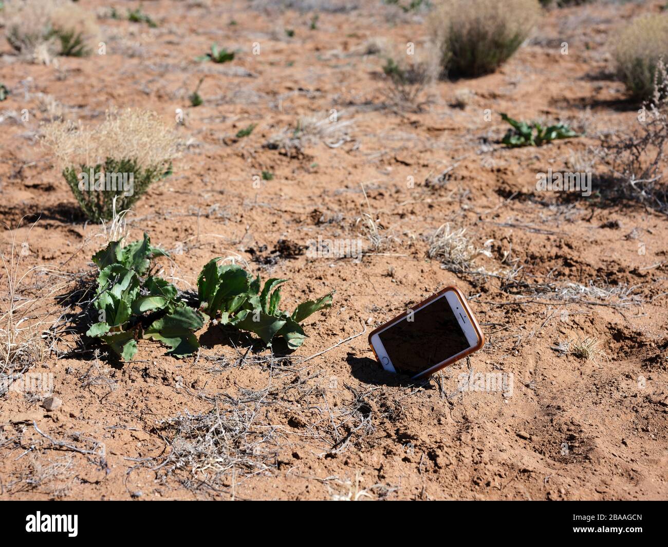 Cell phone sticking out of dirt Stock Photo