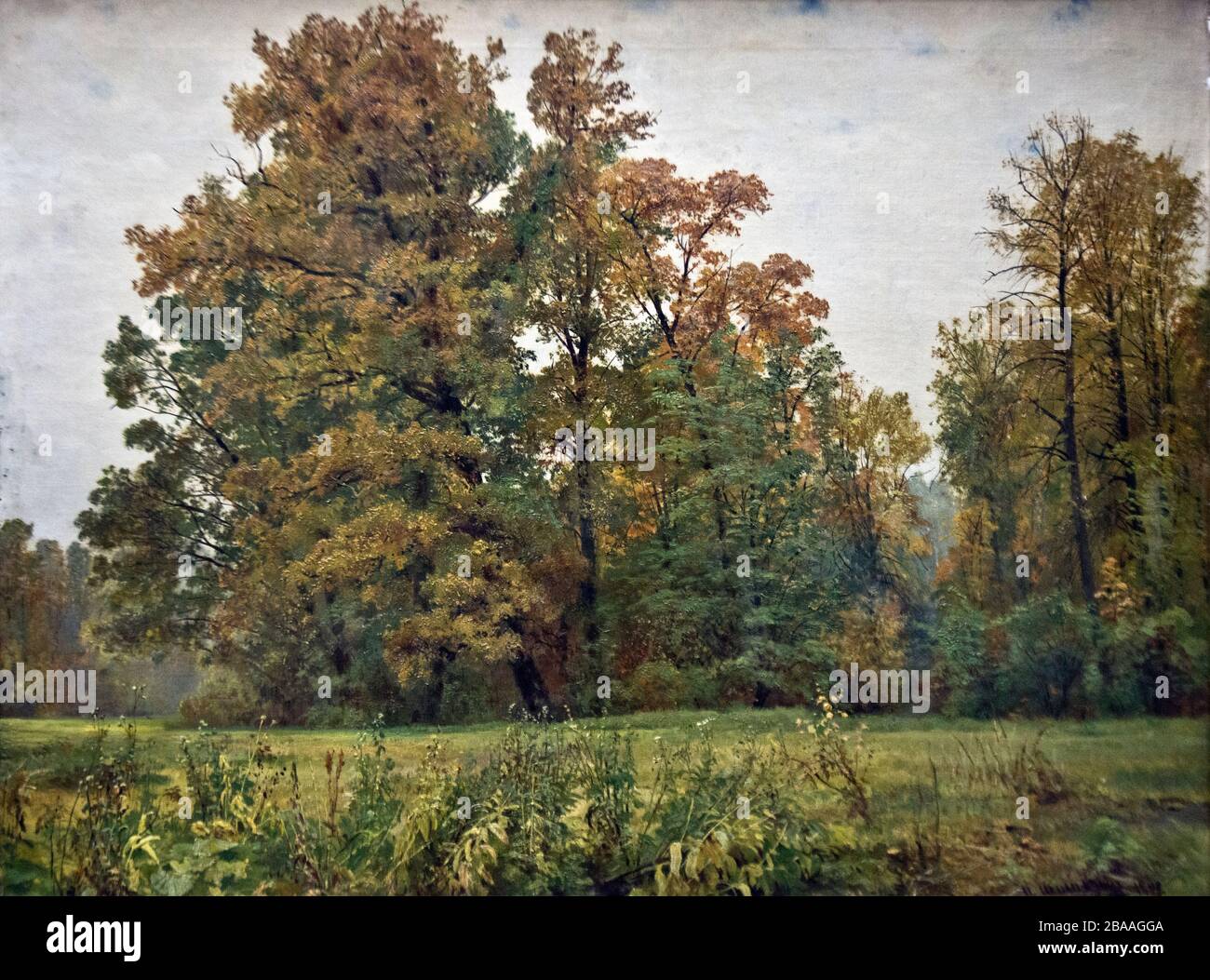 Ivan Shishkin - Autumn (1892 Stock Photo - Alamy