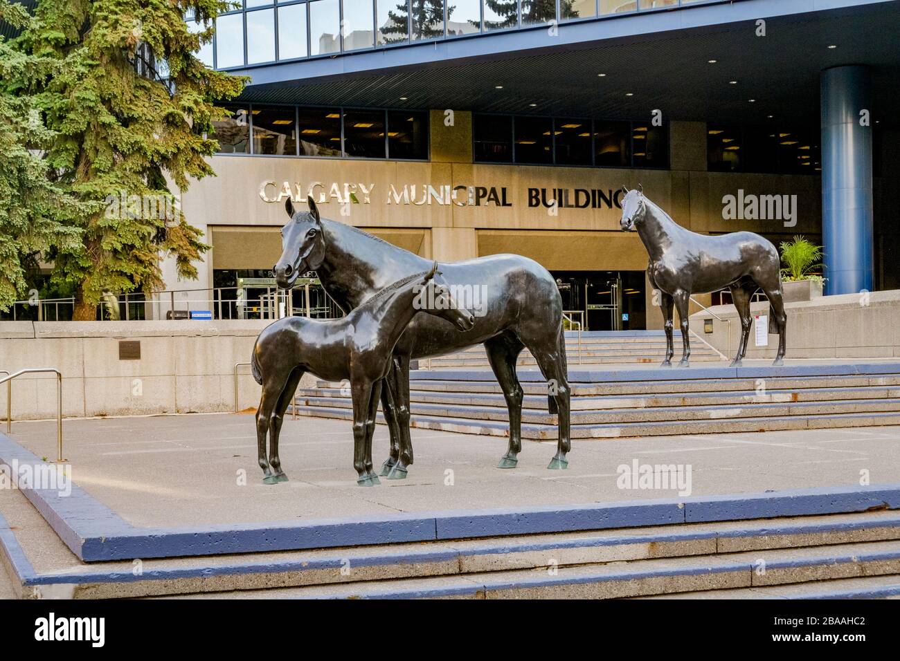 Horse sculpture, City Hall, Calgary, Alberta, Canada Stock Photo Alamy