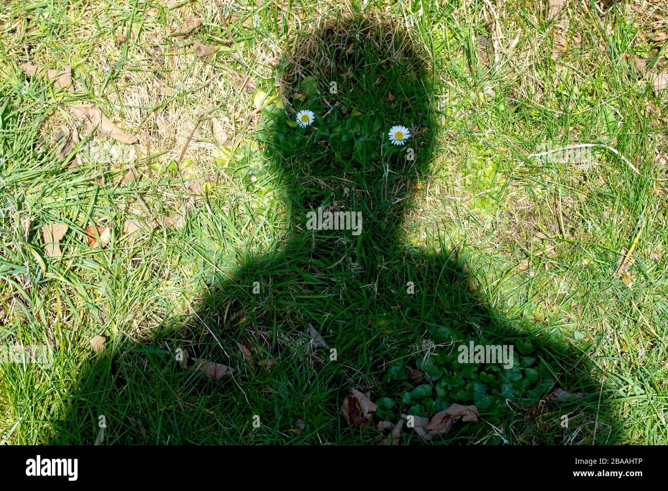 A shadowman, the result of a weird juxtaposition of objects and timing. He looks menacing and intimidatory or sad and furlorn, depending on your mood. Stock Photo