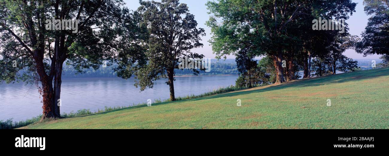 Meadow and trees on bank of Ohio River, Hardin County, Illinois, USA Stock Photo