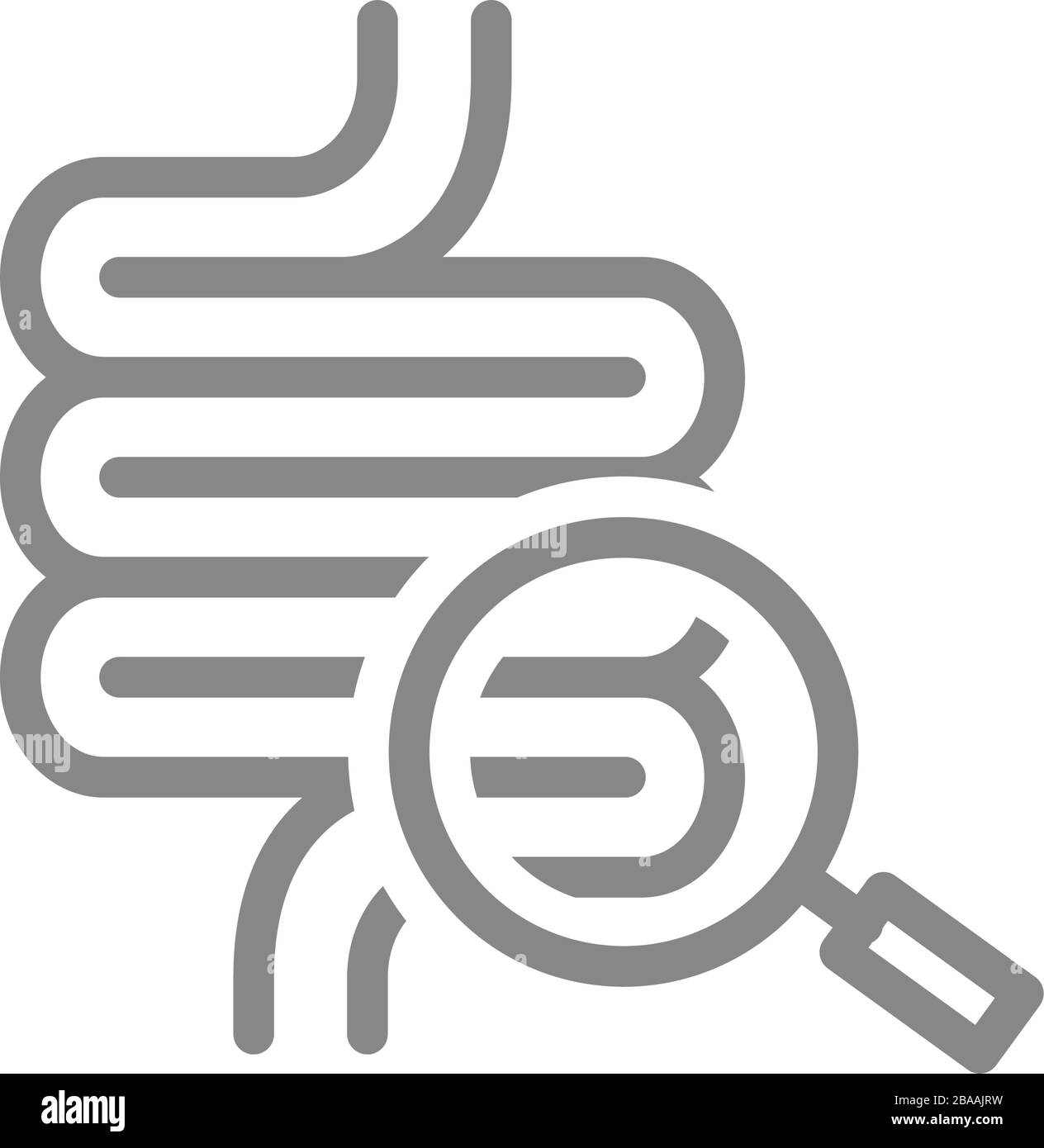 Intestine with magnifying glass line icon. Organ research, health ...