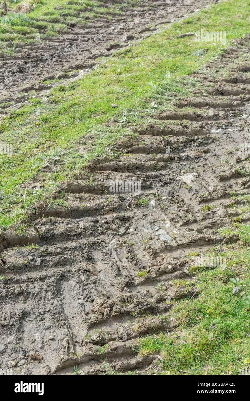 Deep ridges in mud made by tractor tyres / tires on grass. Tyre tracks, making tracks, stick in the mud, muddy texture, muddy surface, mud, winter mud Stock Photo