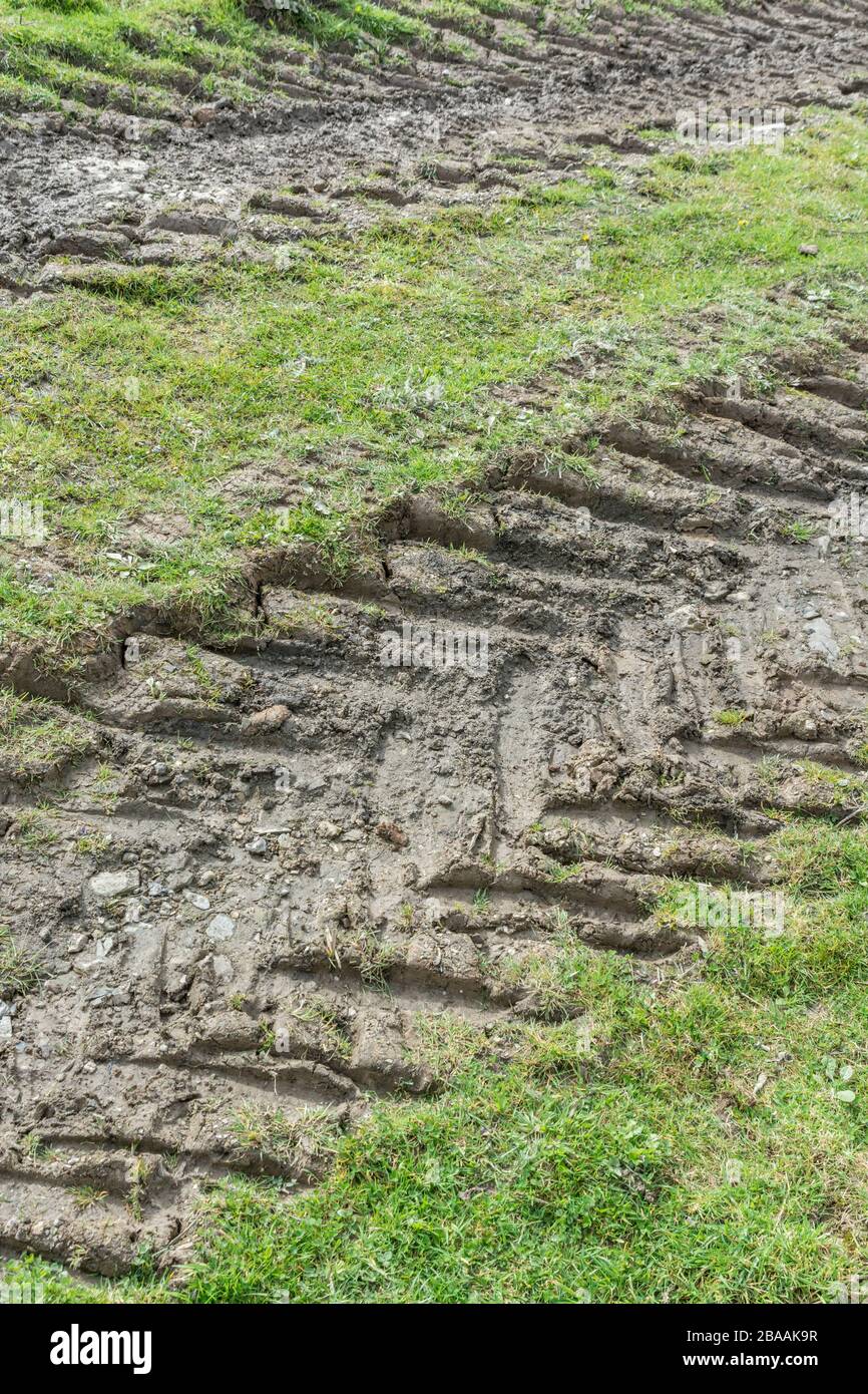 Deep ridges in mud made by tractor tyres / tires on grass. Tyre tracks