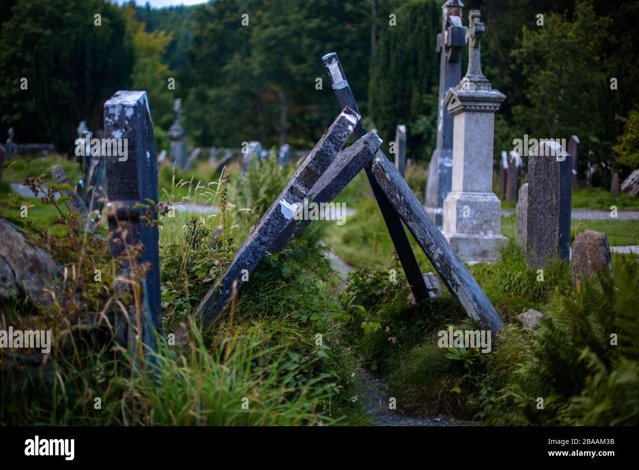 An overgrown area of an Irish graveyard where forgotten gravestones have fallen resting against each other, Ireland Stock Photo
