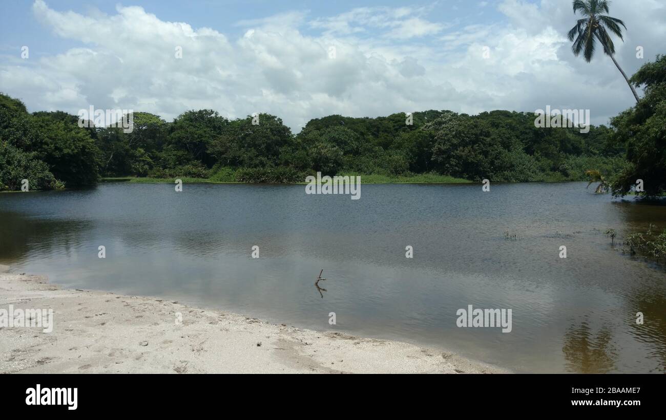 Lake surrounded by greenery under a cloudy sky at daytime - nice for ...