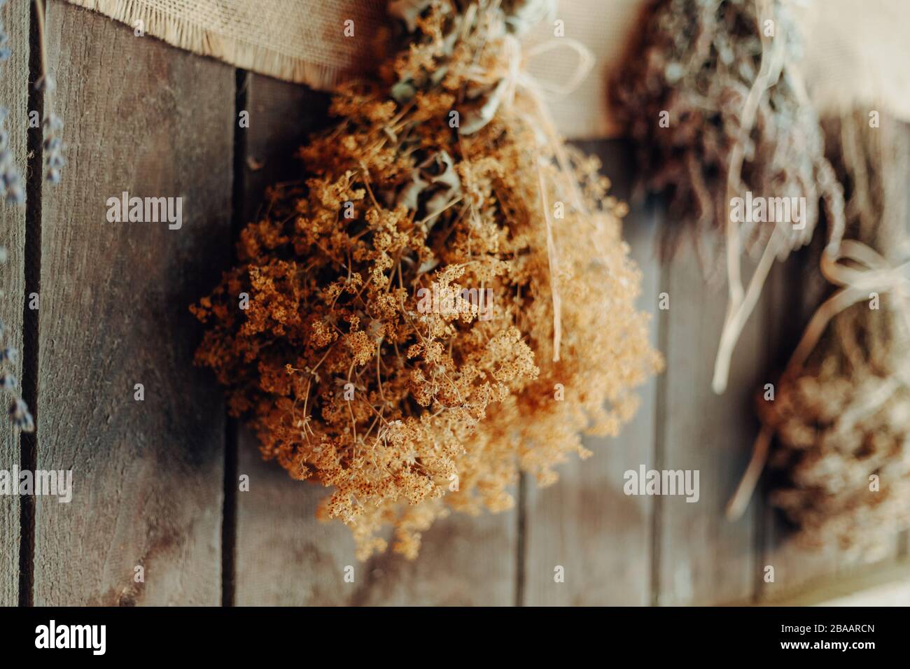 Various herbs hang to dry on a wooden wall Stock Photo