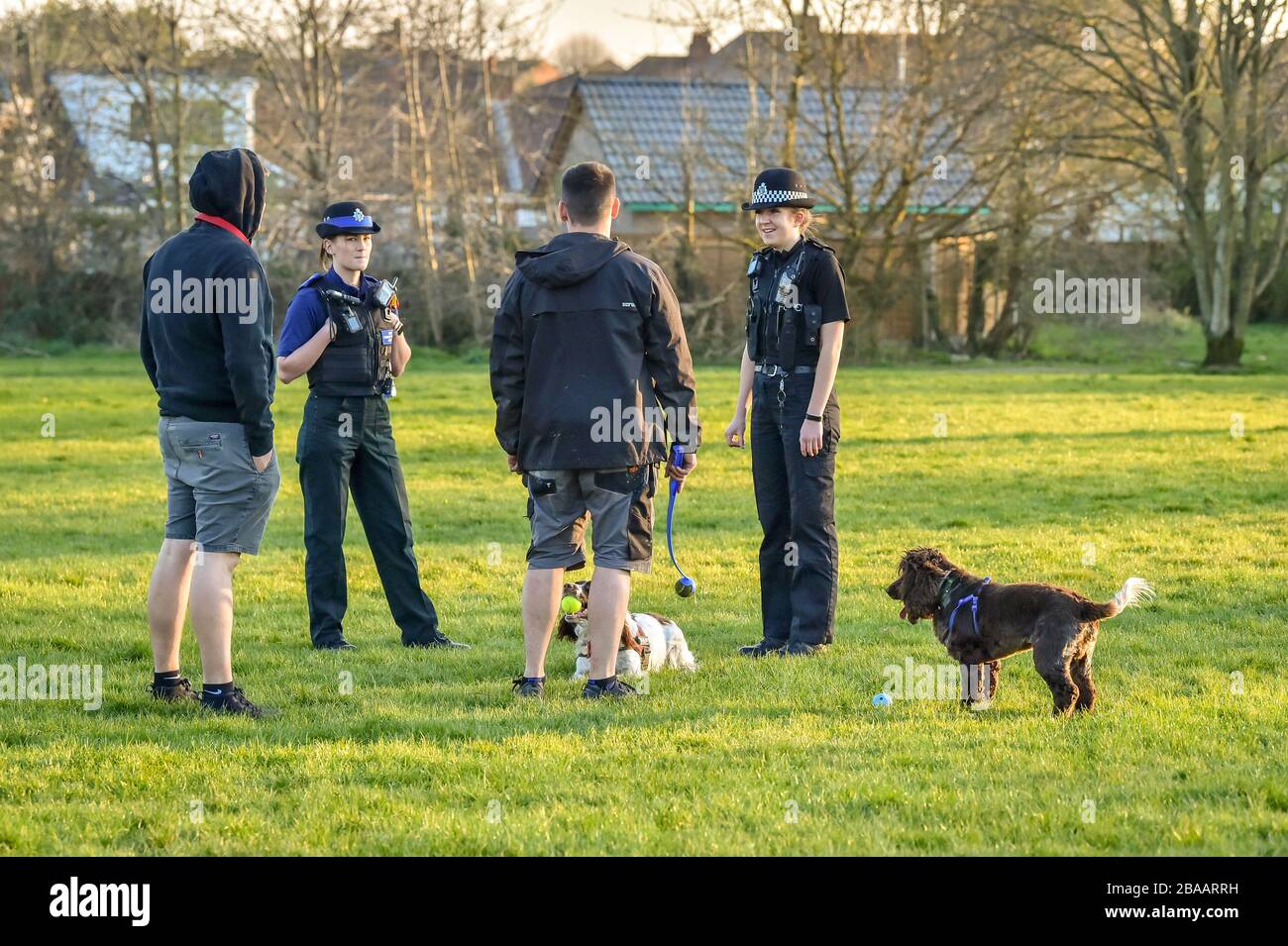 Avon and Somerset Police officers chat to dog walkers in a park in Bristol, where they are patrolling and enforcing the coronavirus lockdown rules. Stock Photo