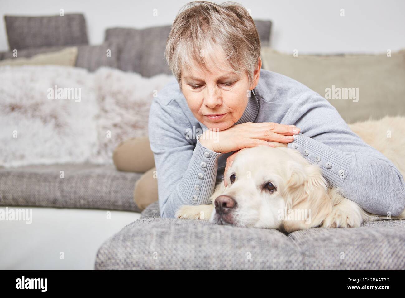 How Do You Comfort A Lonely Dog