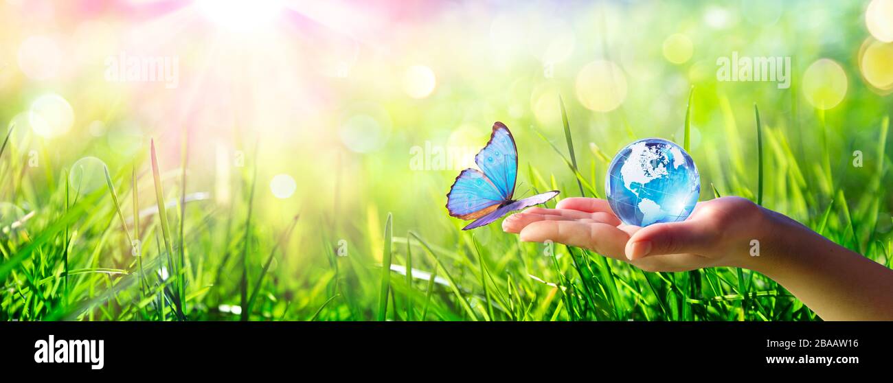 Butterfly meet Human Hand With Glass Globe-Love And Care Environment Concept Stock Photo
