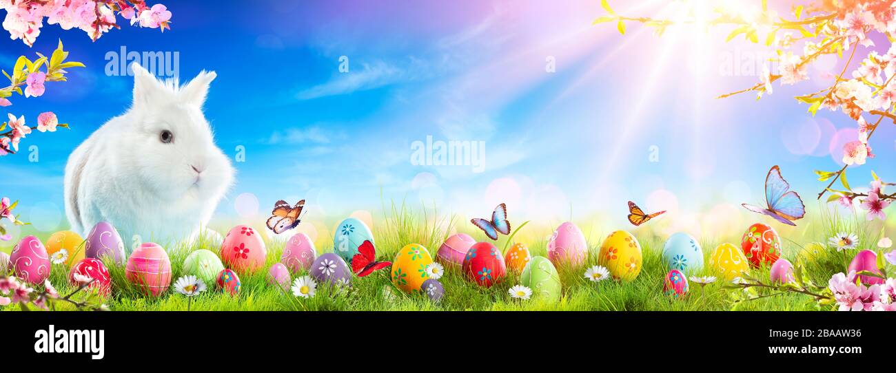 Adorable Bunny With Easter Eggs And Flowers On Grass Stock Photo