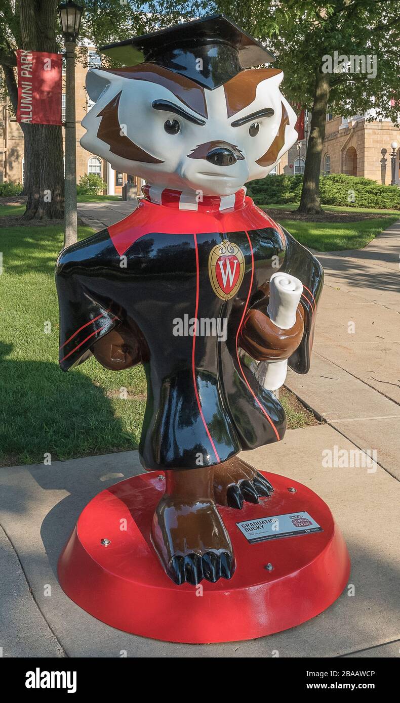Bucky Badger statue, Bucky on Parade, Madison, Dane County, Wisconsin, USA Stock Photo Alamy