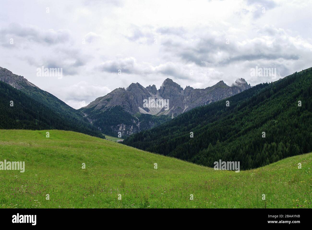 Summer view to meadow and mountain range in Axamer Lizum area, Tyrol, Austria Stock Photo