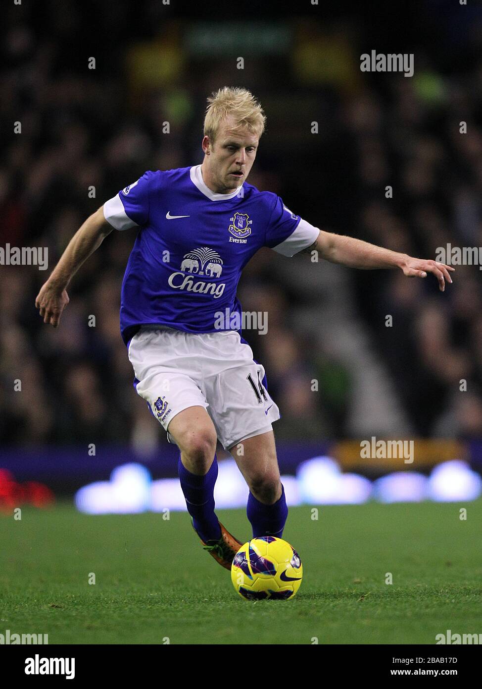 Steven Naismith, Everton Stock Photo