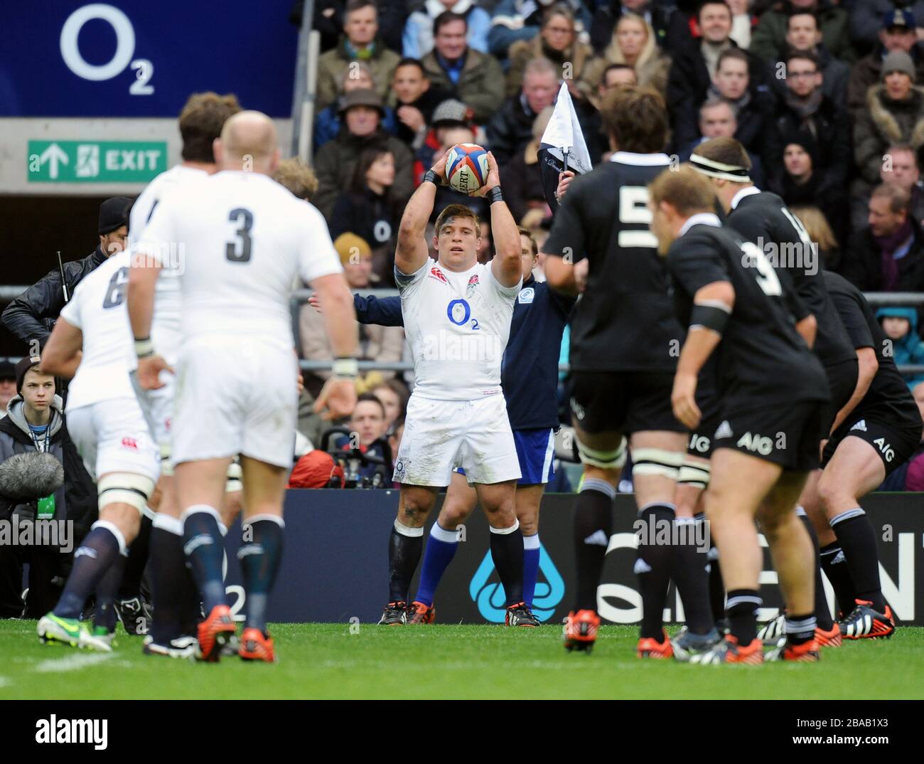 England's Tom Youngs prepares to throw in in the line out Stock Photo