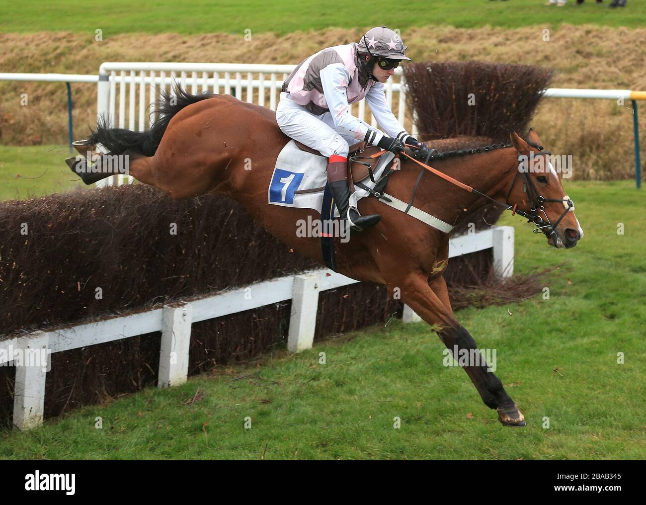 Ouest Eclair ridden by Tony Kelly in The Castle Conditional Jockeys ...