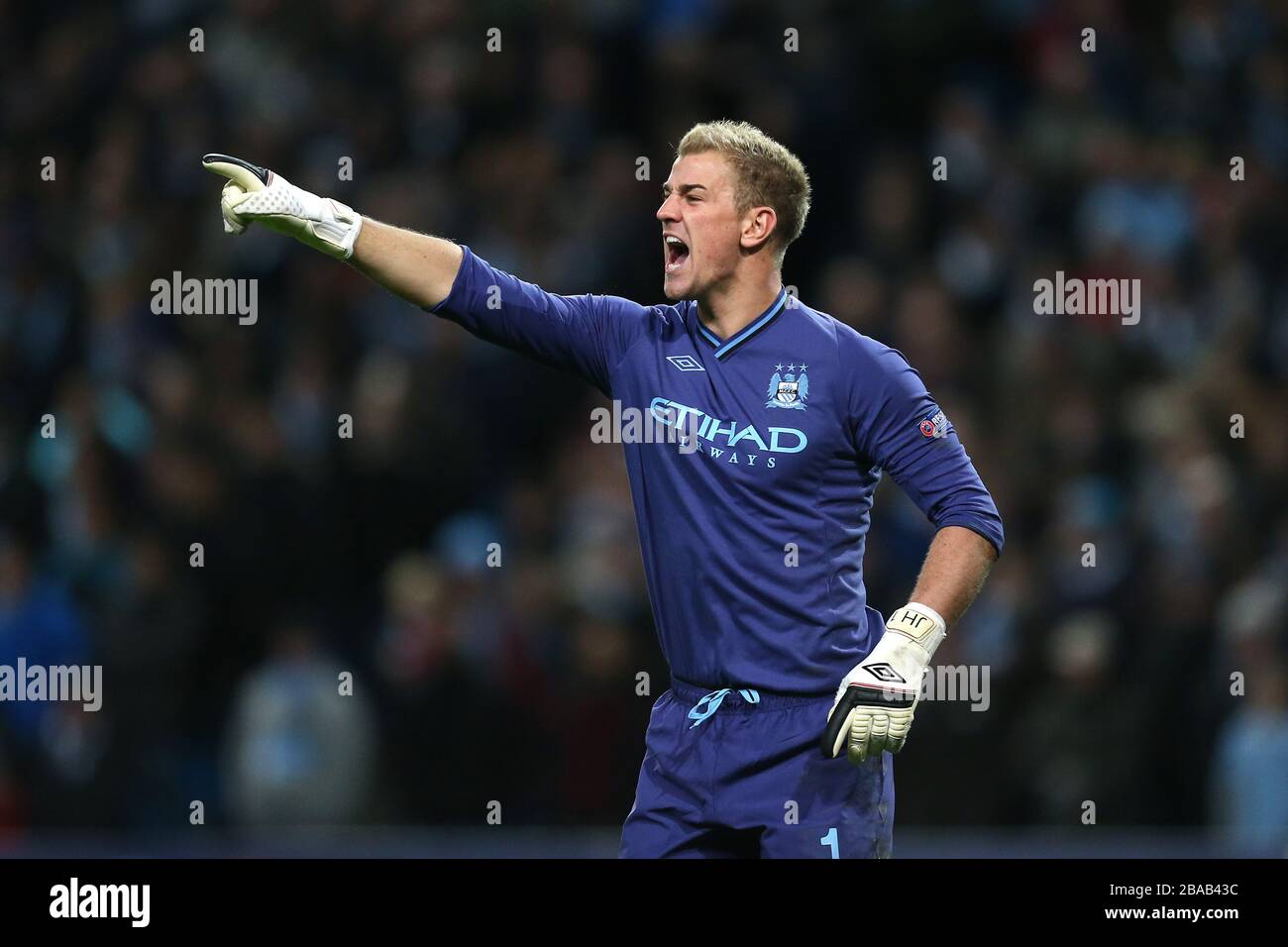 joe hart manchester city jersey
