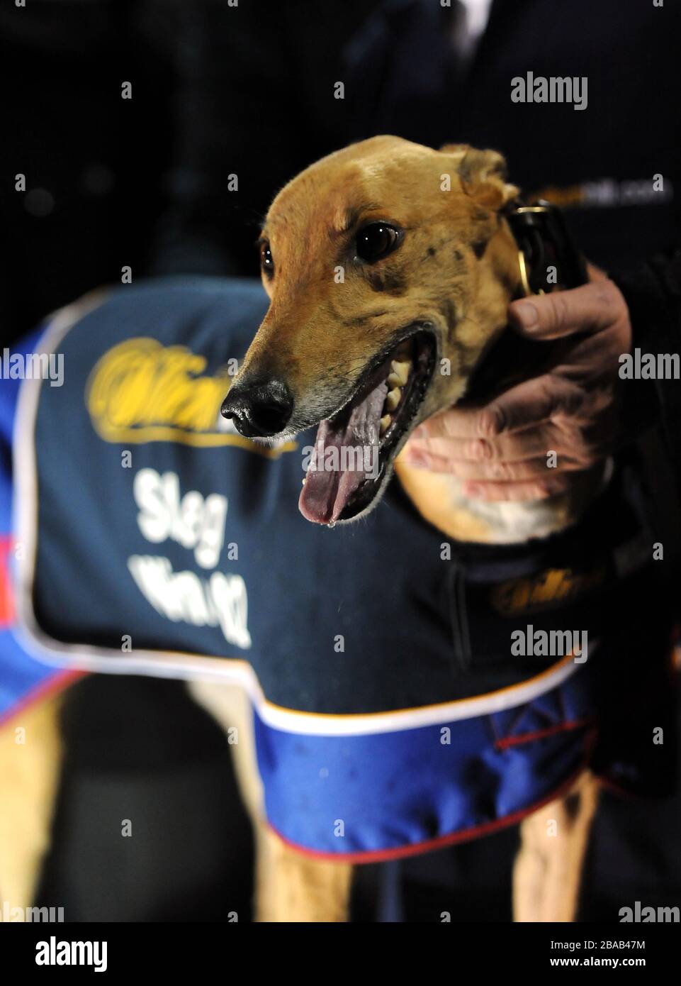 St Leger winner Stock Photo Alamy