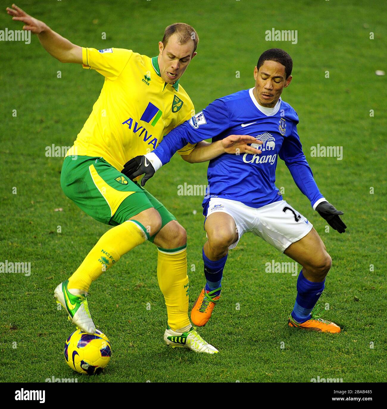 Norwich City's Steven Whittaker (left) and Everton's Steven Pienaar battle for the ball Stock Photo