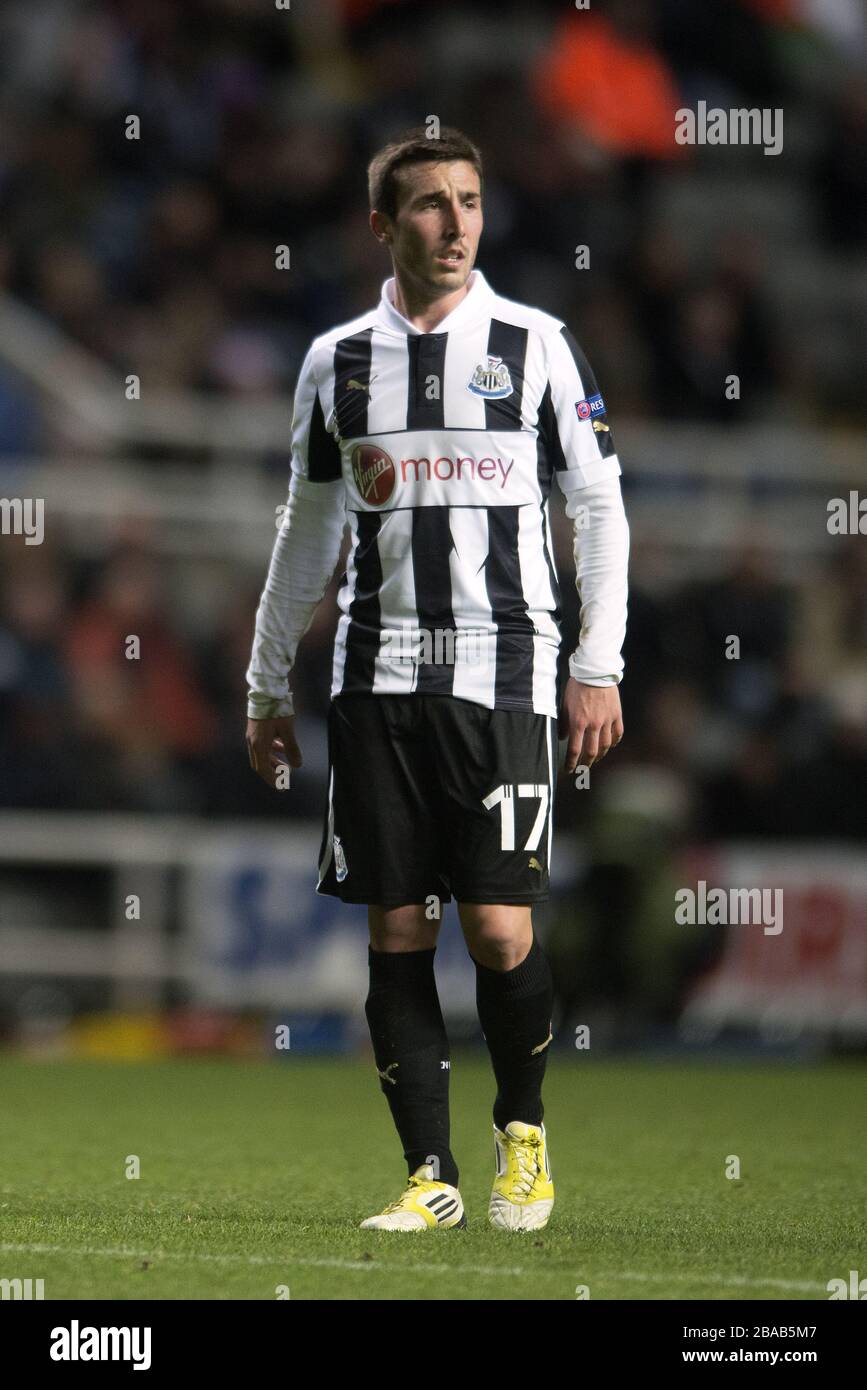 Romain Amalfitano, Newcastle United Stock Photo