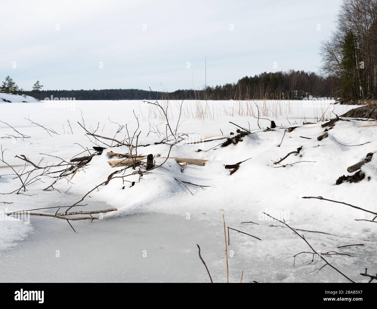 Beaver's lodge in winter Stock Photo - Alamy