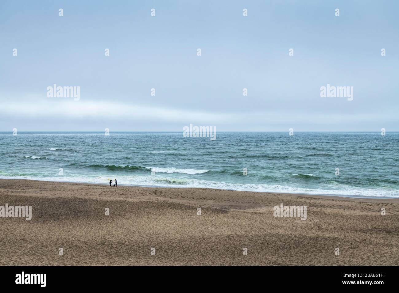 Two people and dog on beach at Point Reyes National Seashore