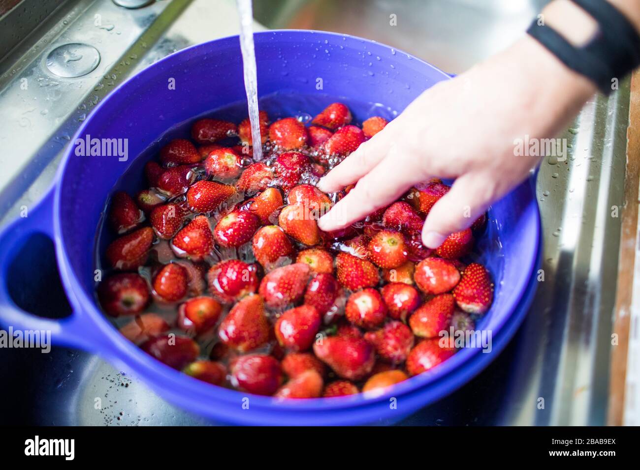 washing fresh strawberries with water in the sink. Stock Photo