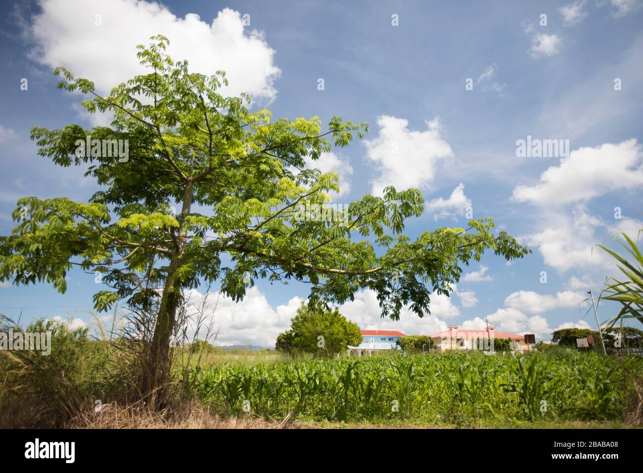 Landscape of rural farm community in Guatemala Stock Photo