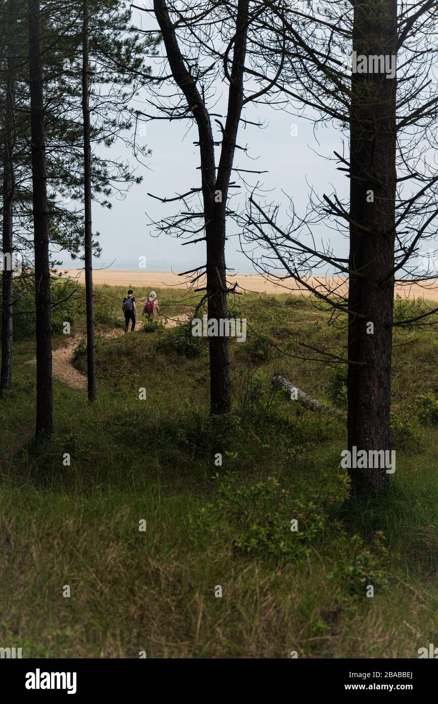 2 People following a Forest Path Leading onto the Norfolk Coast Stock Photo