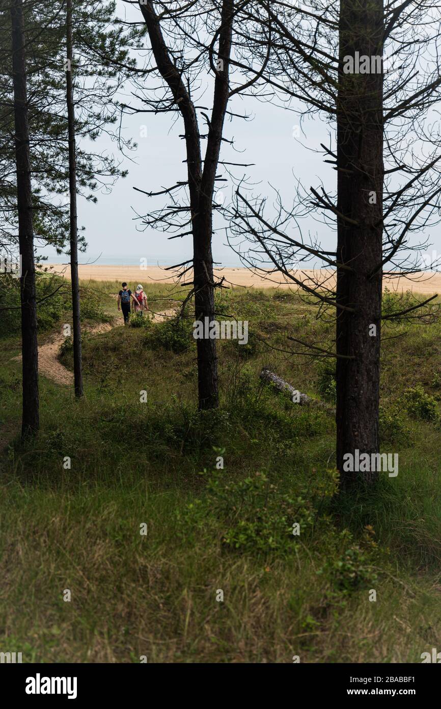 2 People following a Forest Path Leading onto the Norfolk Coast Stock Photo