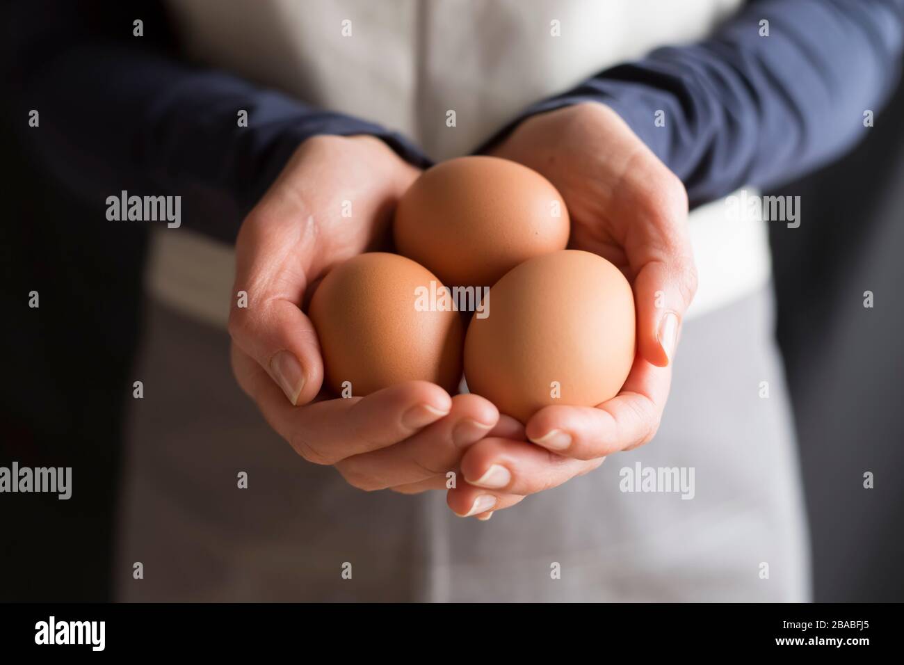 Raw chicken eggs in woman's hands. Stock Photo