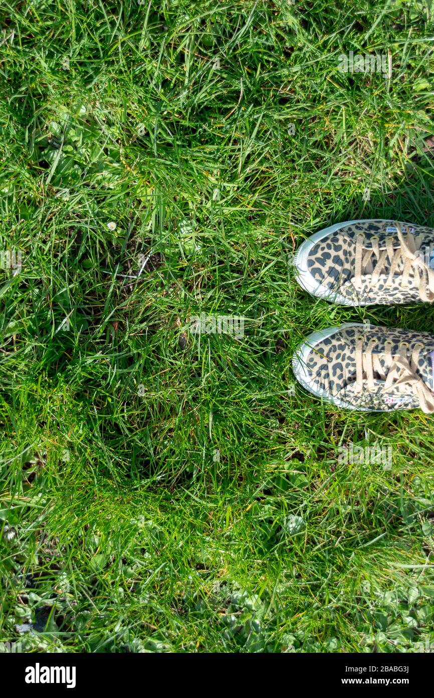 Green animal deals print shoes